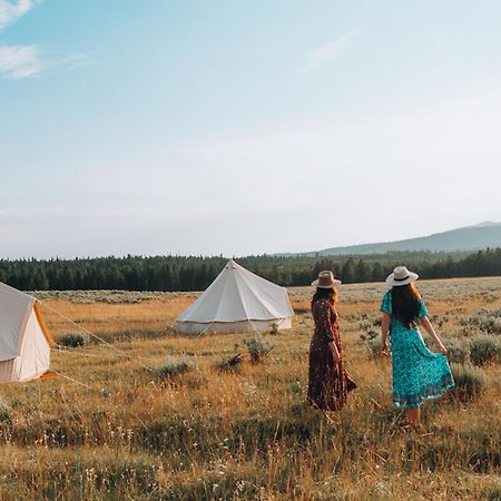 Wander Camp Yellowstone Айлънд Парк Екстериор снимка