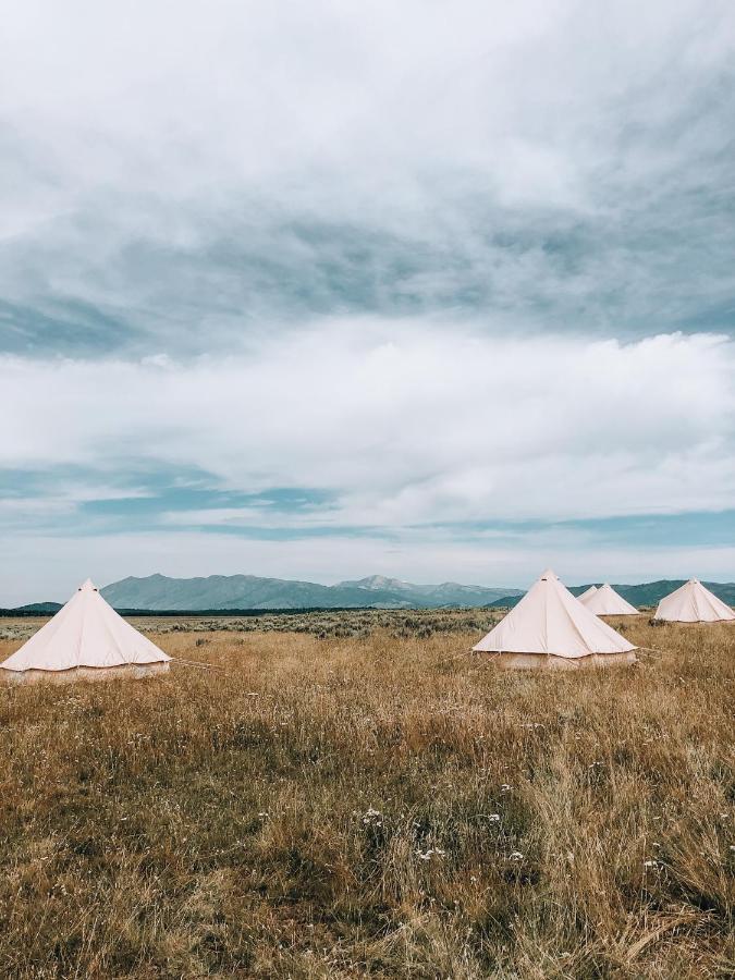 Wander Camp Yellowstone Айлънд Парк Екстериор снимка